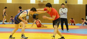 男子両スタイルの全日本チームが今年度初の合宿スタート