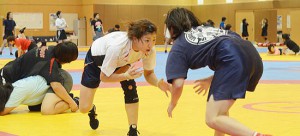 【特集】世界選手権へかける（21）完…女子51kg級・宮原優（東洋大）