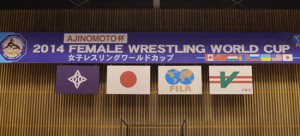 日本の初戦は米国…女子ワールドカップ組み合わせ決まる