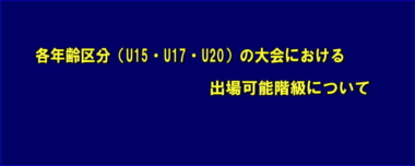 各年齢区分（U15・U17・U20）の大会における出場可能階級について