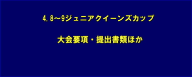 4.8～9ジュニアクイーンズカップ／大会要項・提出書類ほか