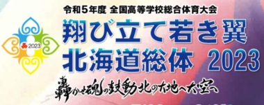 7.27～30インターハイ（札幌市）／組み合わせ