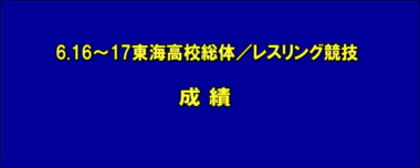 6.15～16東海高校総体／レスリング競技 成績